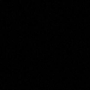 Meet your Posher, Bella